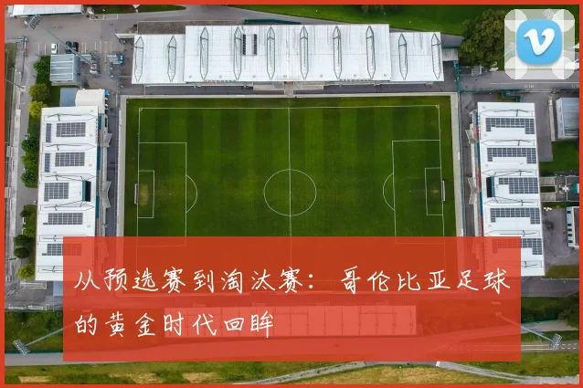 从预选赛到淘汰赛:哥伦比亚足球的黄金时代回眸