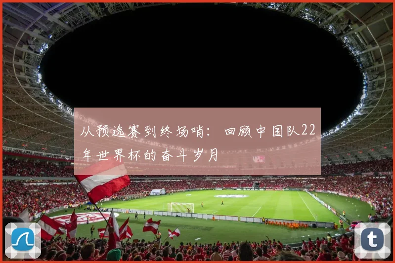 从预选赛到终场哨:回顾中国队22年世界杯的奋斗岁月