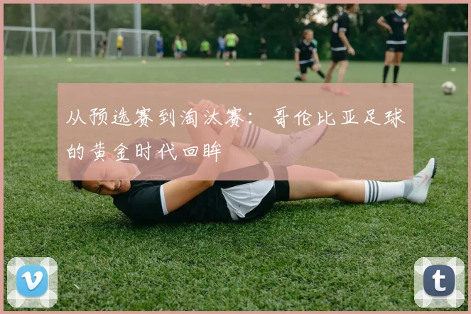 从预选赛到淘汰赛:哥伦比亚足球的黄金时代回眸