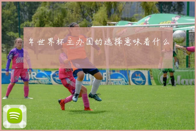 年世界杯主办国的选择意味着什么